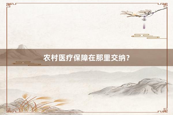 农村医疗保障在那里交纳？