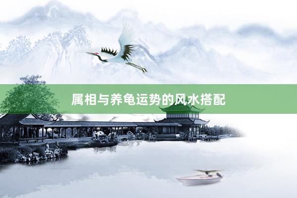 属相与养龟运势的风水搭配