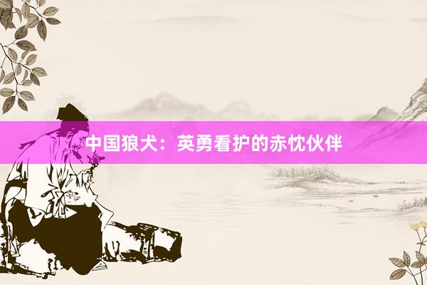 中国狼犬:英勇看护的赤忱伙伴
